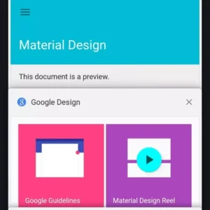 Chrome Dev
