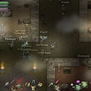 9th Dawn 3: Shadow of Erthil